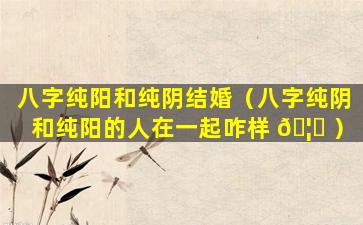 八字纯阳和纯阴结婚（八字纯阴和纯阳的人在一起咋样 🦆 ）